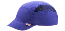 Corn blue